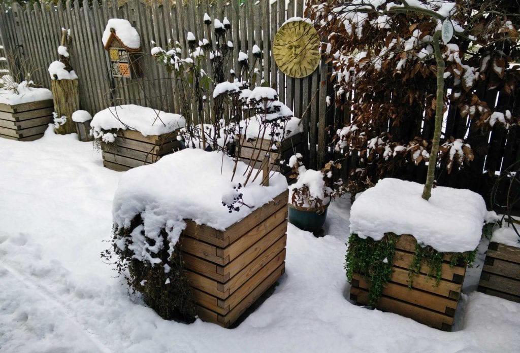Pflanzkübel im Schnee