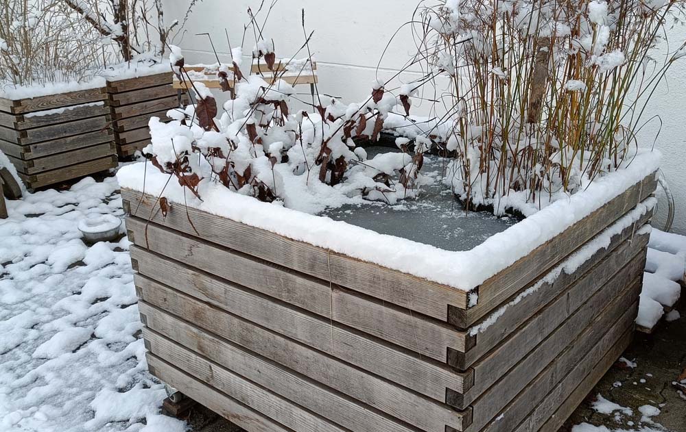 Terrassenteich im Winter vor der Werkstatt